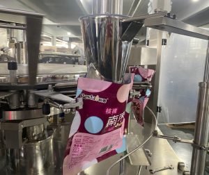 Mesin Pengemas Seri Doypack