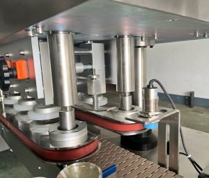 Lini Pengepakan Penghitung Otomatis DSL-L